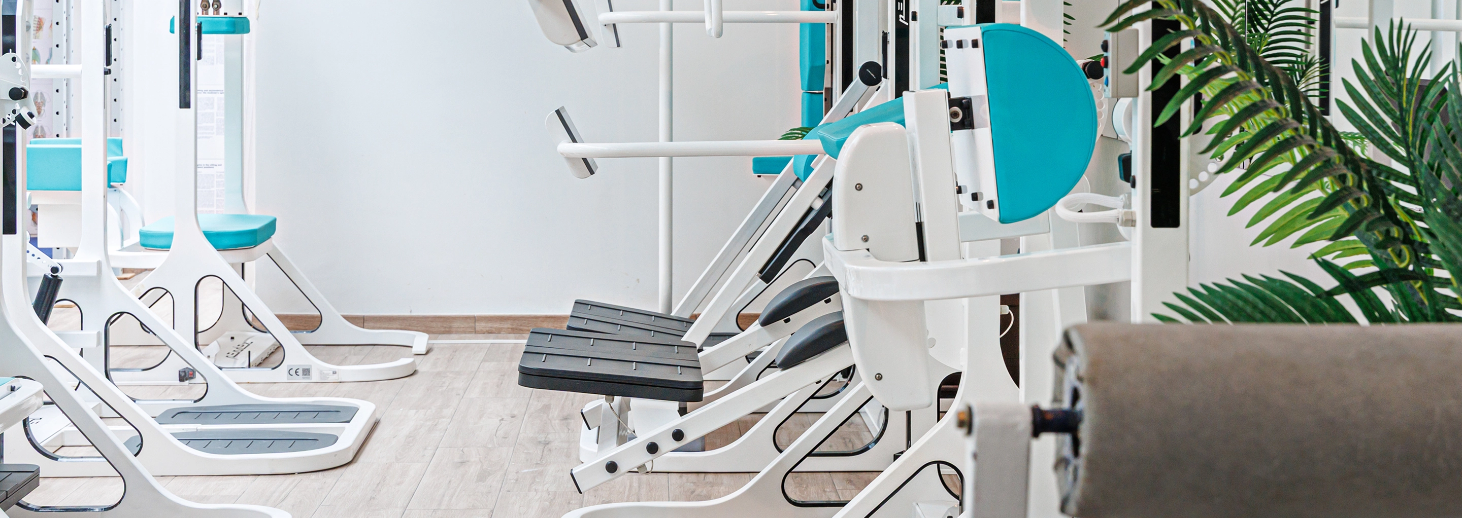 Dr. Blum’s method and the Pendex® system