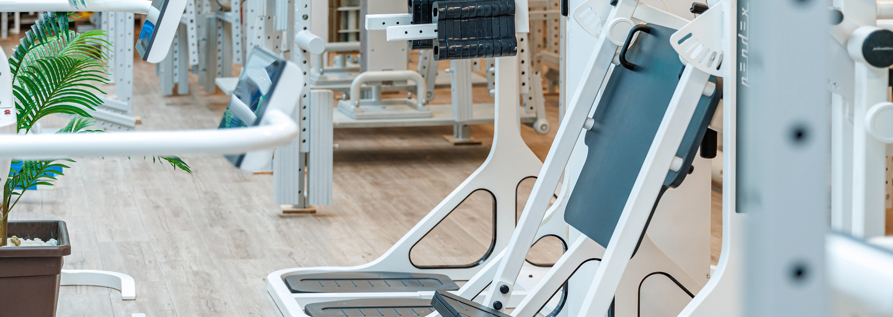 PENDEX AI Therapy Devices and Lymphatic Drainage