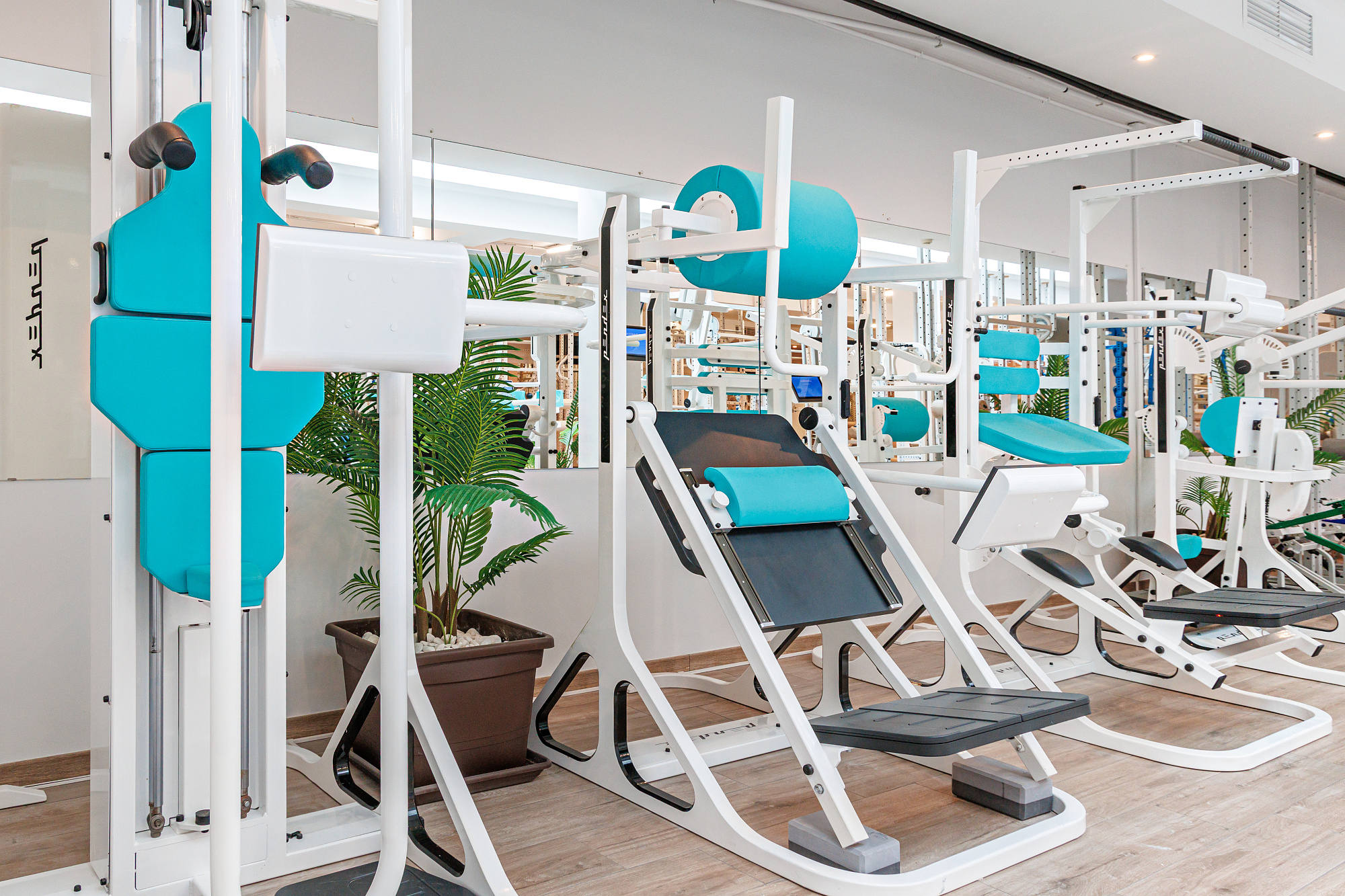 AI тренажёры PENDEX и очищение лимфы