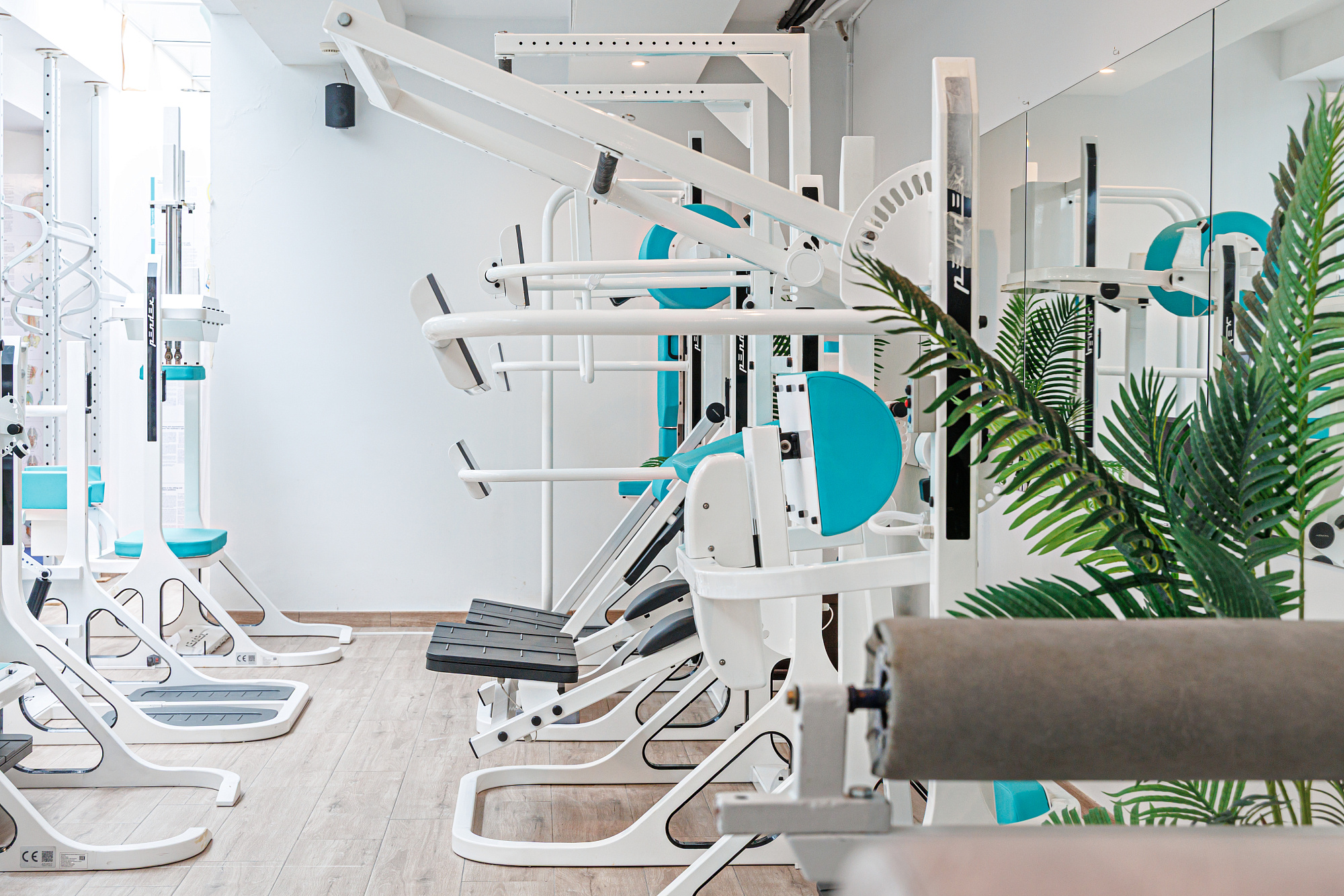 Методика доктора Блюма и система Pendex®